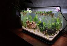 best fish tank filter
