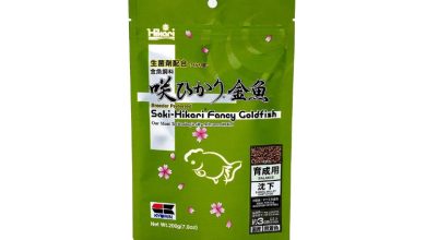 Saki-Hikari Fancy Goldfish